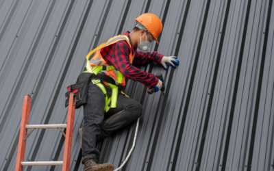 Are Metal Roofs Better Than Regular Roofs in Bothell?