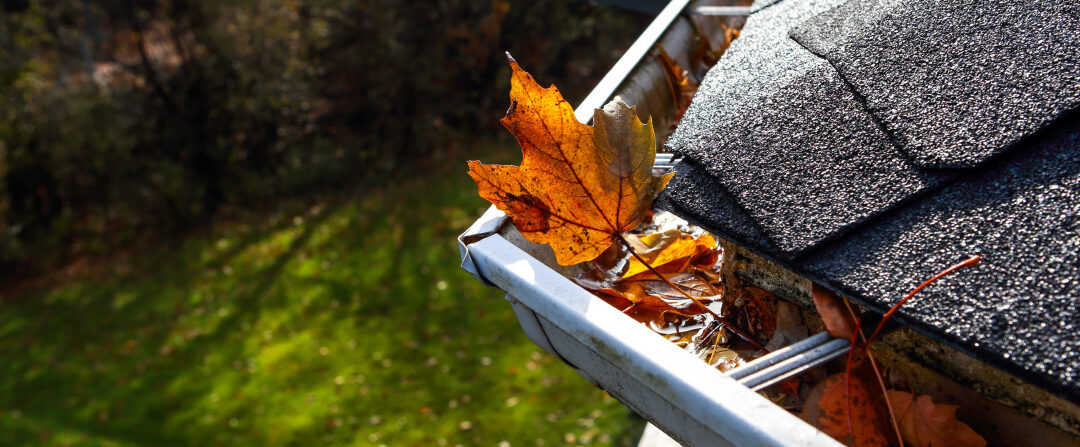 Best Gutters for Leaves