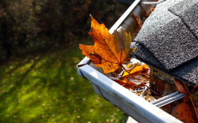 Best Gutters for Leaves