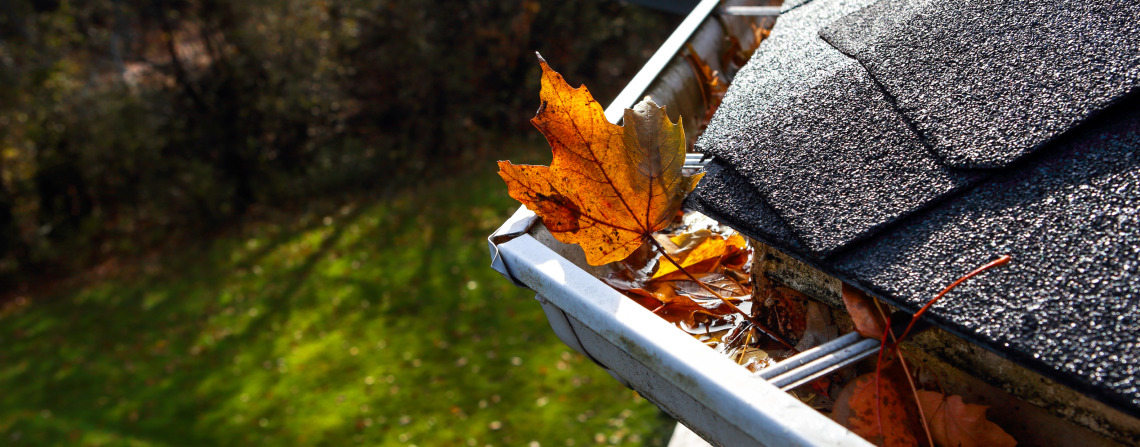 best gutters for leaves