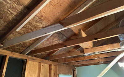 Do Roofers Do Ceiling Work in Bothell, Washington?